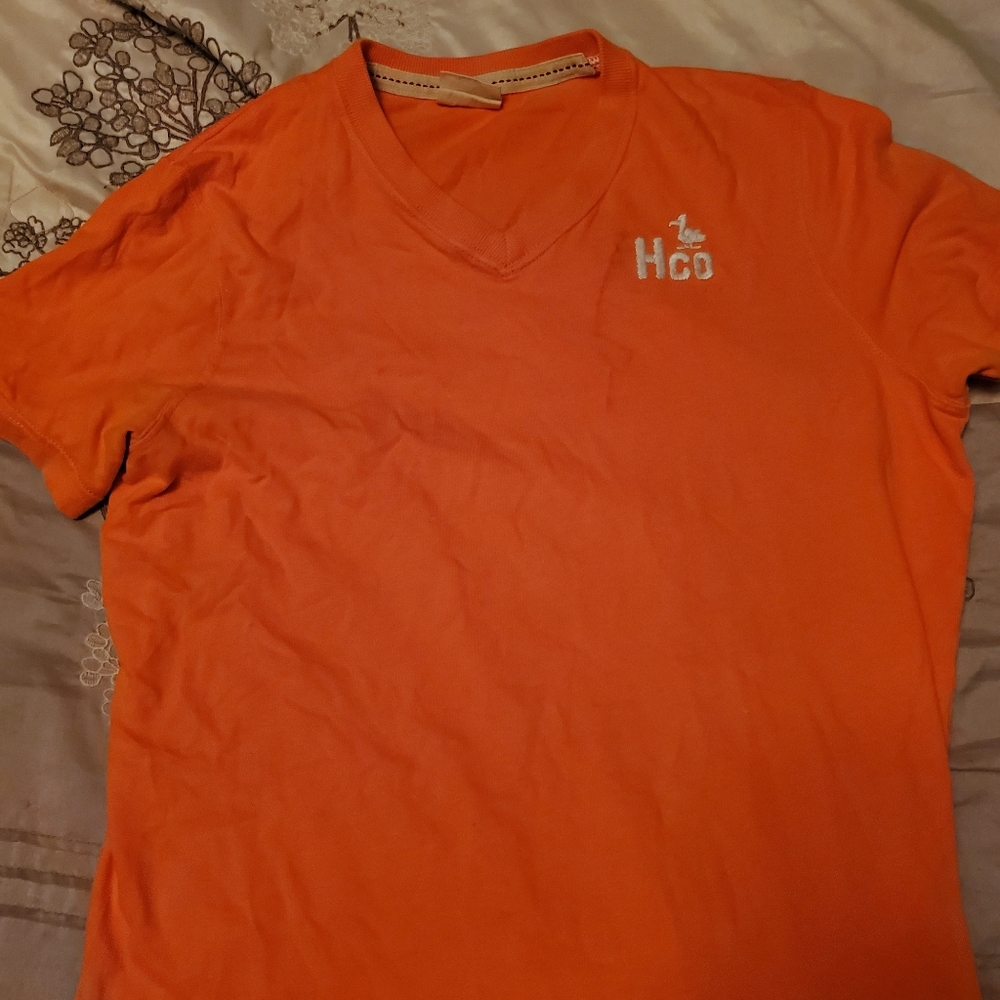 Hollister v neck
